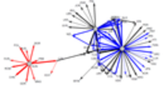 Separation among western block (blue) and eastern block (red) in 1952 (from the talk "Two Stage Modelling of Arms Trade: Applying Inferential Network Analysis on the Cold War Period")